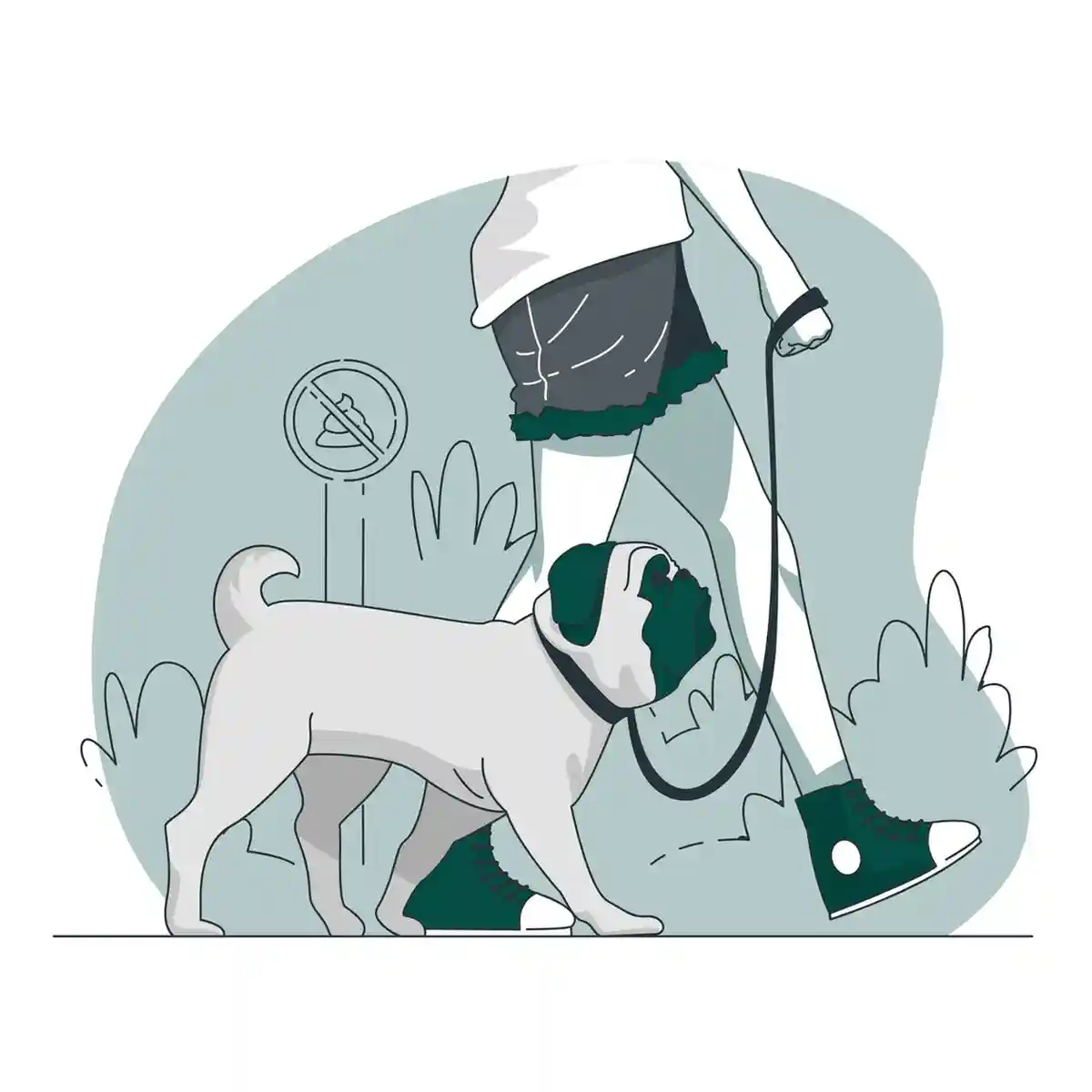 Streatham Pet Taxis and transfers